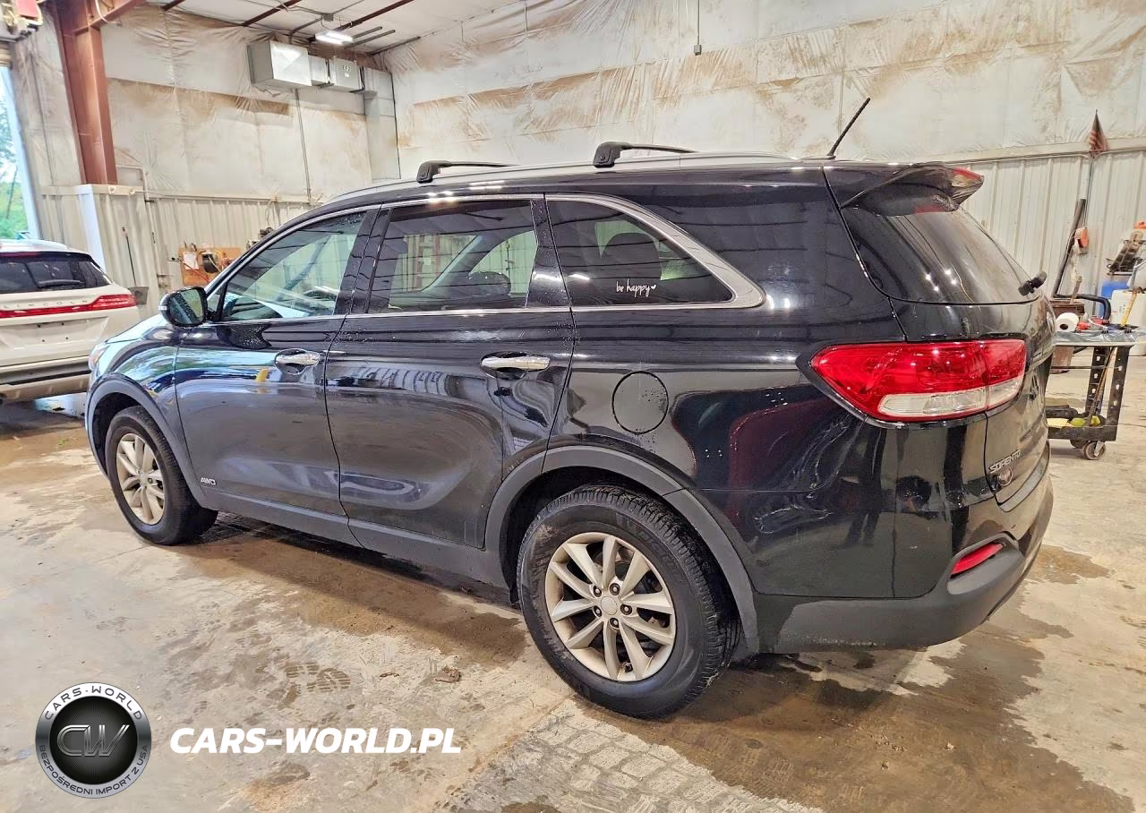 2017 Kia Sorento Lx VIN:5XYPGDA31HG263808 - 2