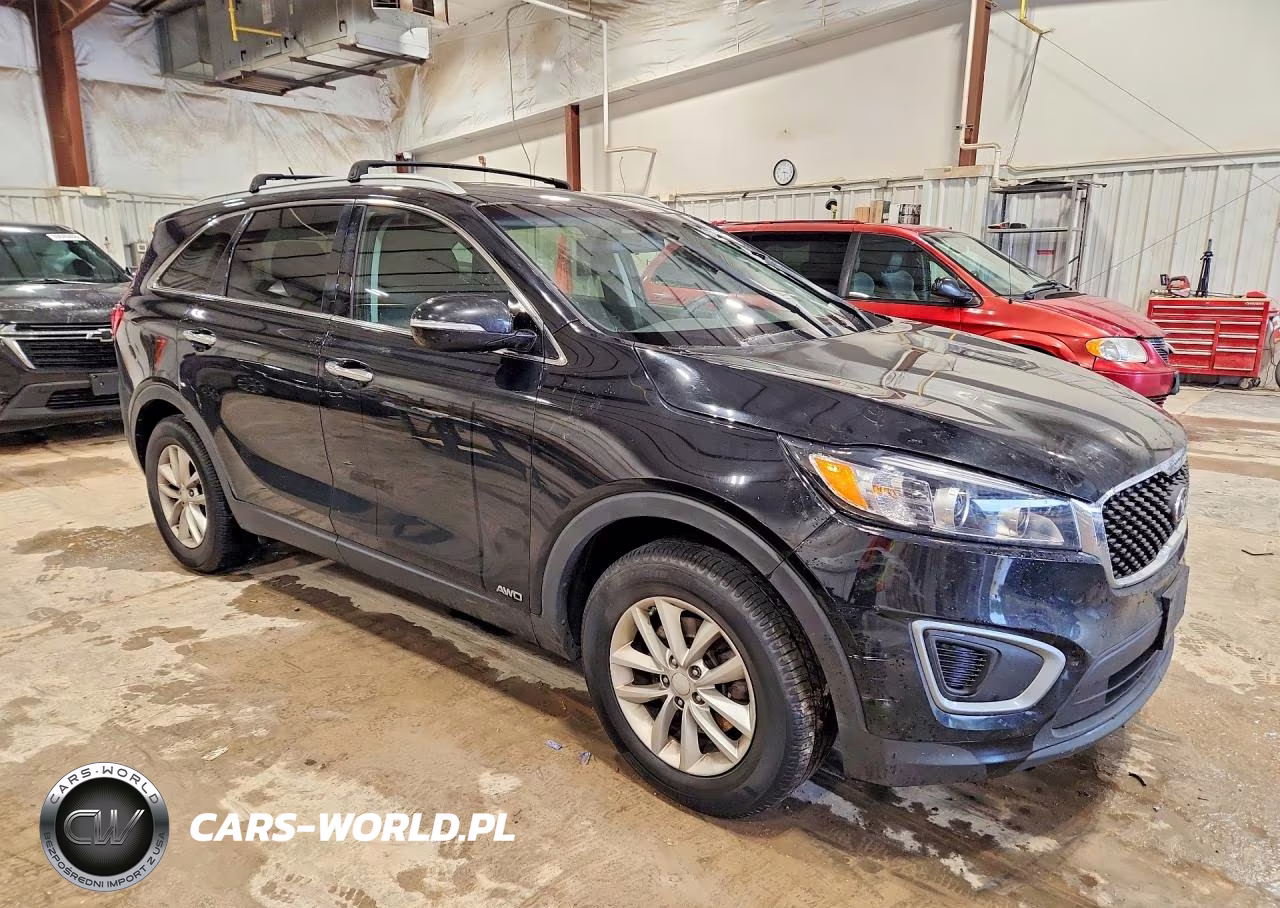 2017 Kia Sorento Lx VIN:5XYPGDA31HG263808 - 4