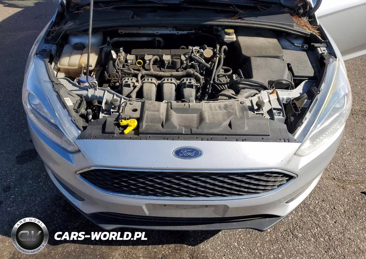 2018 Ford Focus Se VIN:1FADP3K20JL331227 - 11