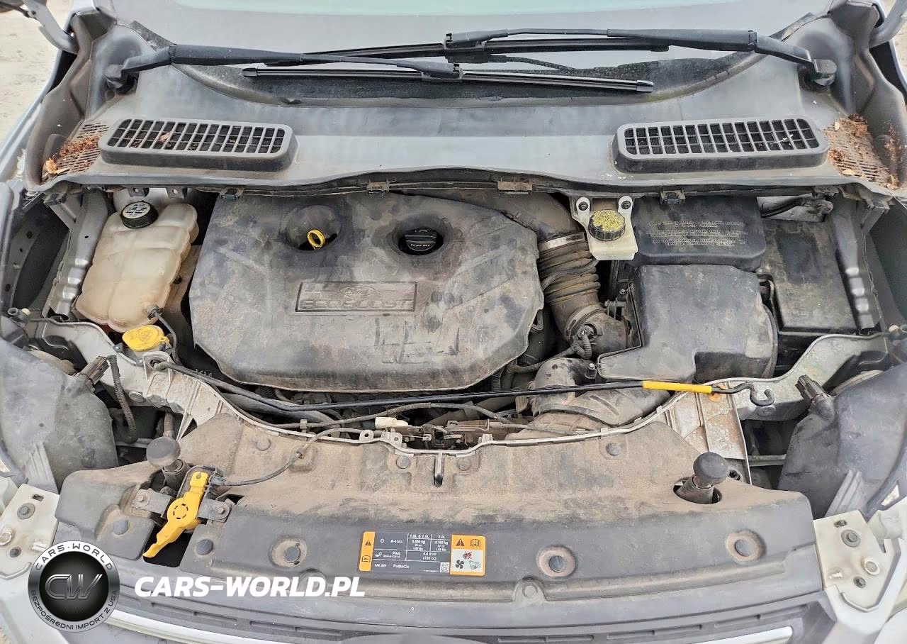 2014 Ford Escape Se VIN:1FMCU0G94EUA23301 - 12