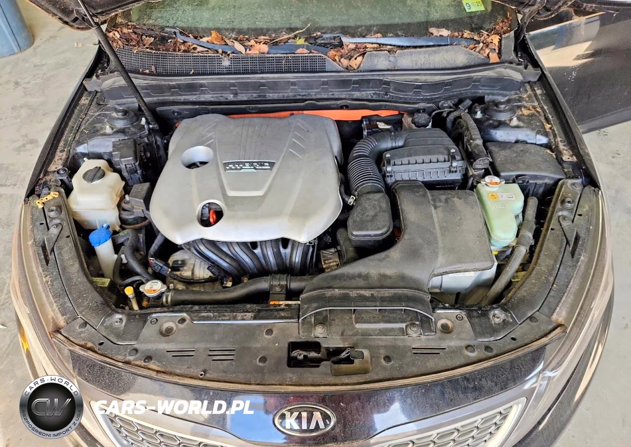 2015 Kia Optima Hybrid VIN:KNAGM4AD4F5077359 - 11