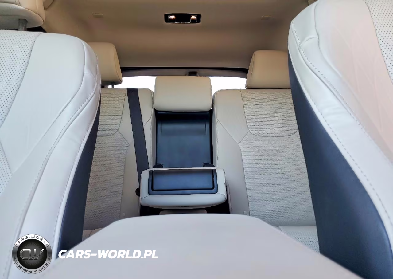 2023 Lexus Rx 350 Premium+ VIN:2T2BAMBAXPC020139 - 10
