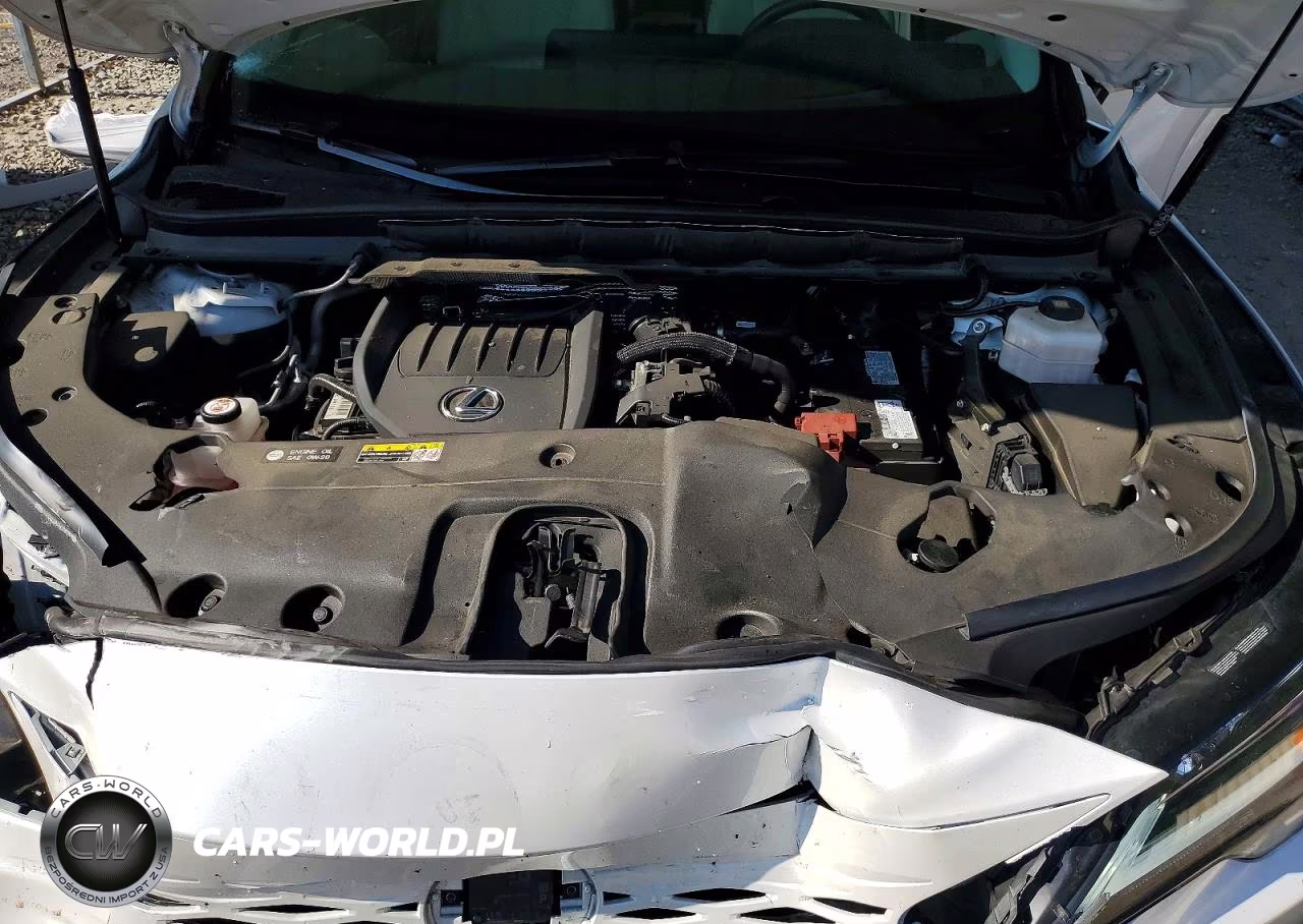 2023 Lexus Rx 350 Premium+ VIN:2T2BAMBAXPC020139 - 12