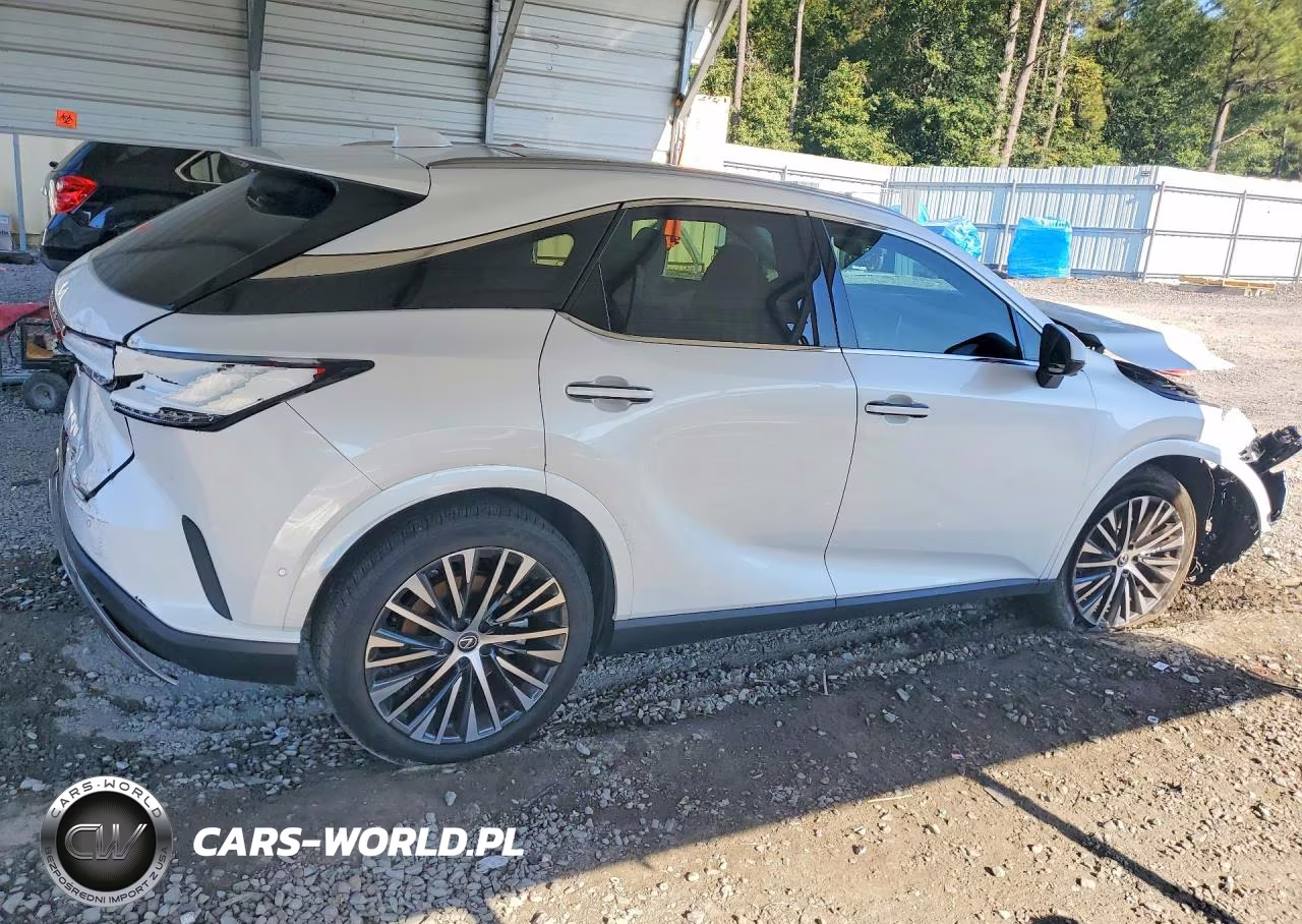 2023 Lexus Rx 350 Premium+ VIN:2T2BAMBAXPC020139 - 3