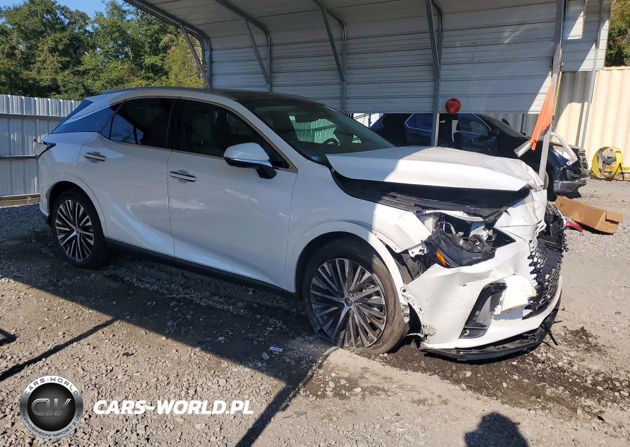 2023 Lexus Rx 350 Premium+ VIN:2T2BAMBAXPC020139 - 4