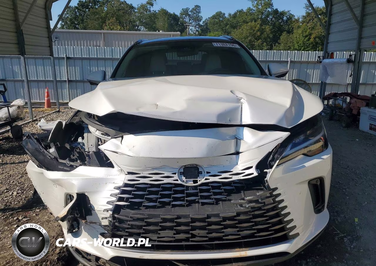 2023 Lexus Rx 350 Premium+ VIN:2T2BAMBAXPC020139 - 5