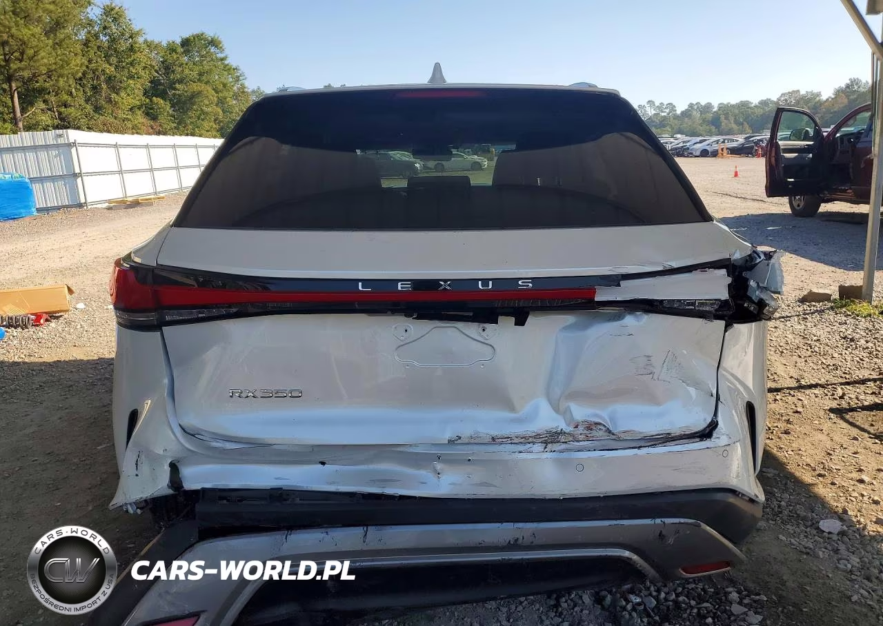 2023 Lexus Rx 350 Premium+ VIN:2T2BAMBAXPC020139 - 6