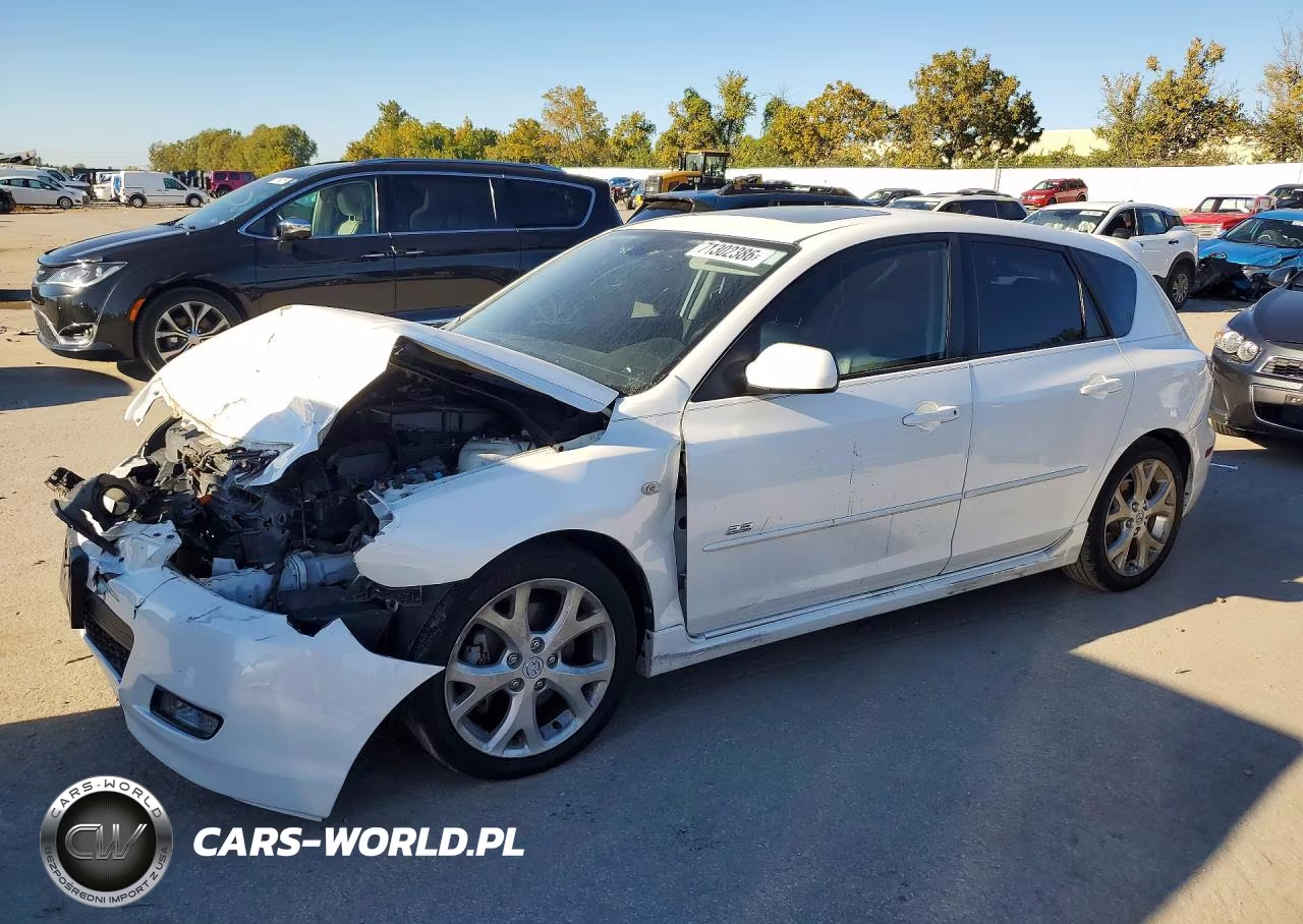2009 Mazda 3 S VIN:JM1BK343991228577 - 1