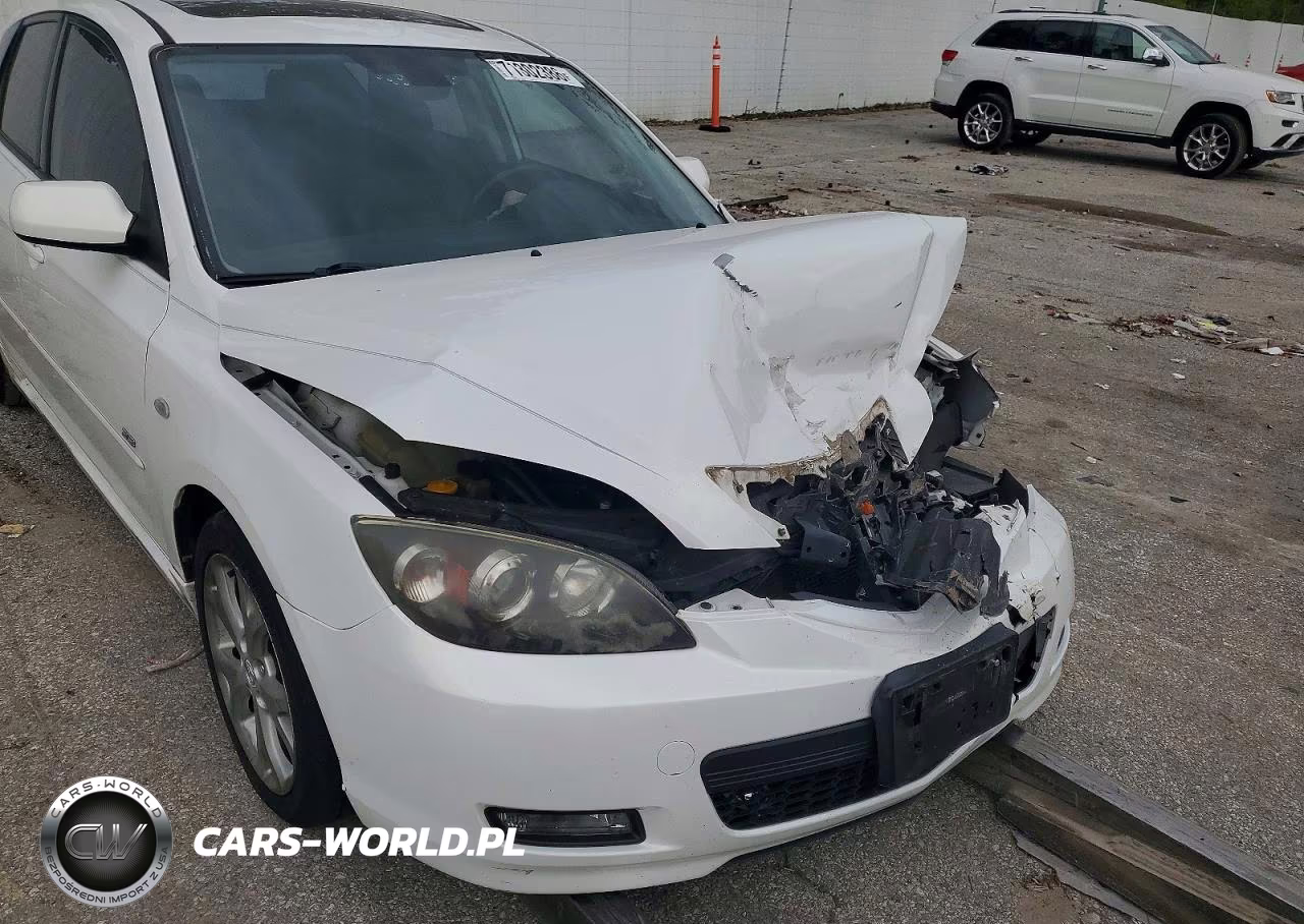 2009 Mazda 3 S VIN:JM1BK343991228577 - 10
