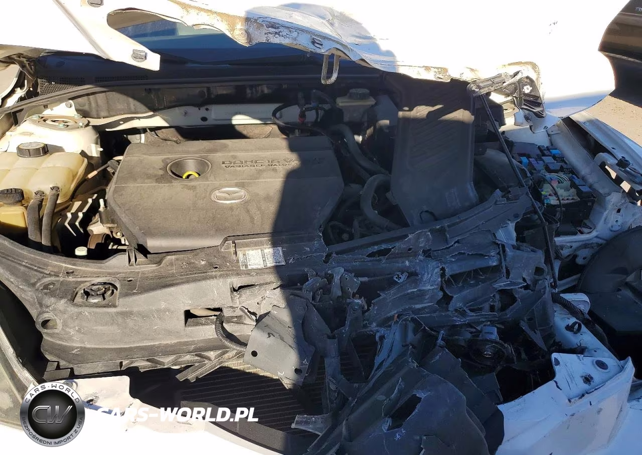 2009 Mazda 3 S VIN:JM1BK343991228577 - 12