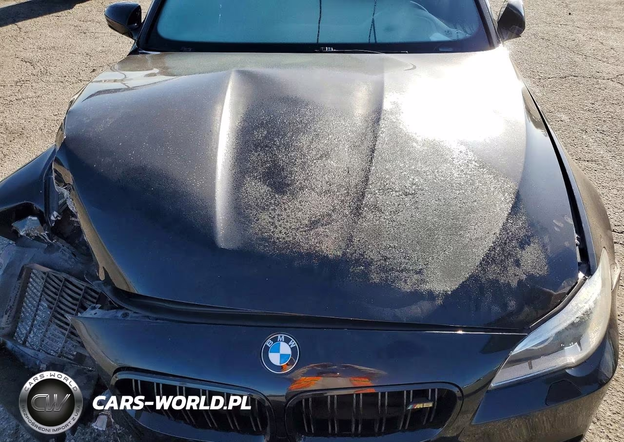 2014 BMW M5 VIN:WBSFV9C54ED593006 - 11