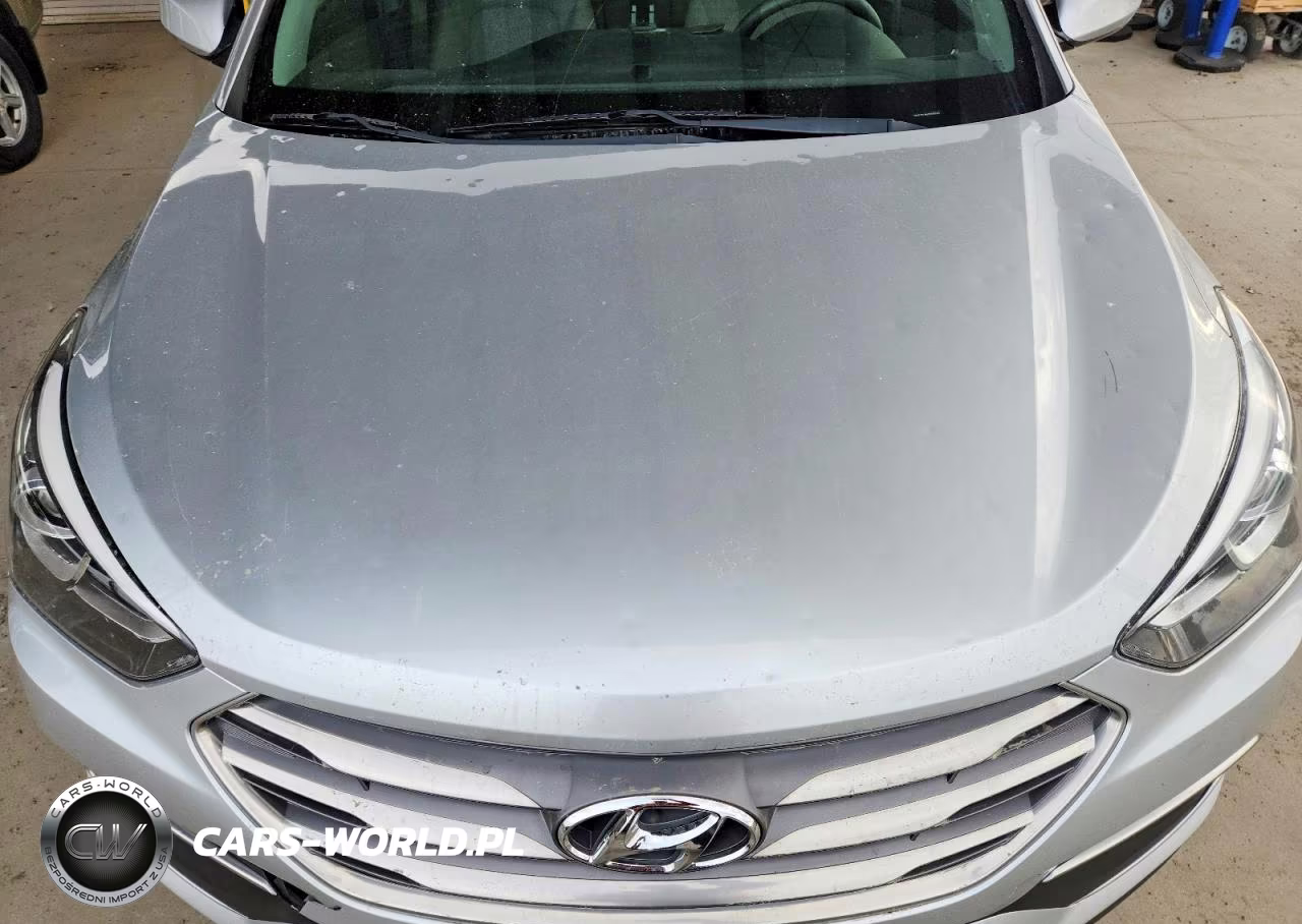 2018 Hyundai Santa Fe Sport 2.4L VIN:5XYZTDLBXJG534203 - 12