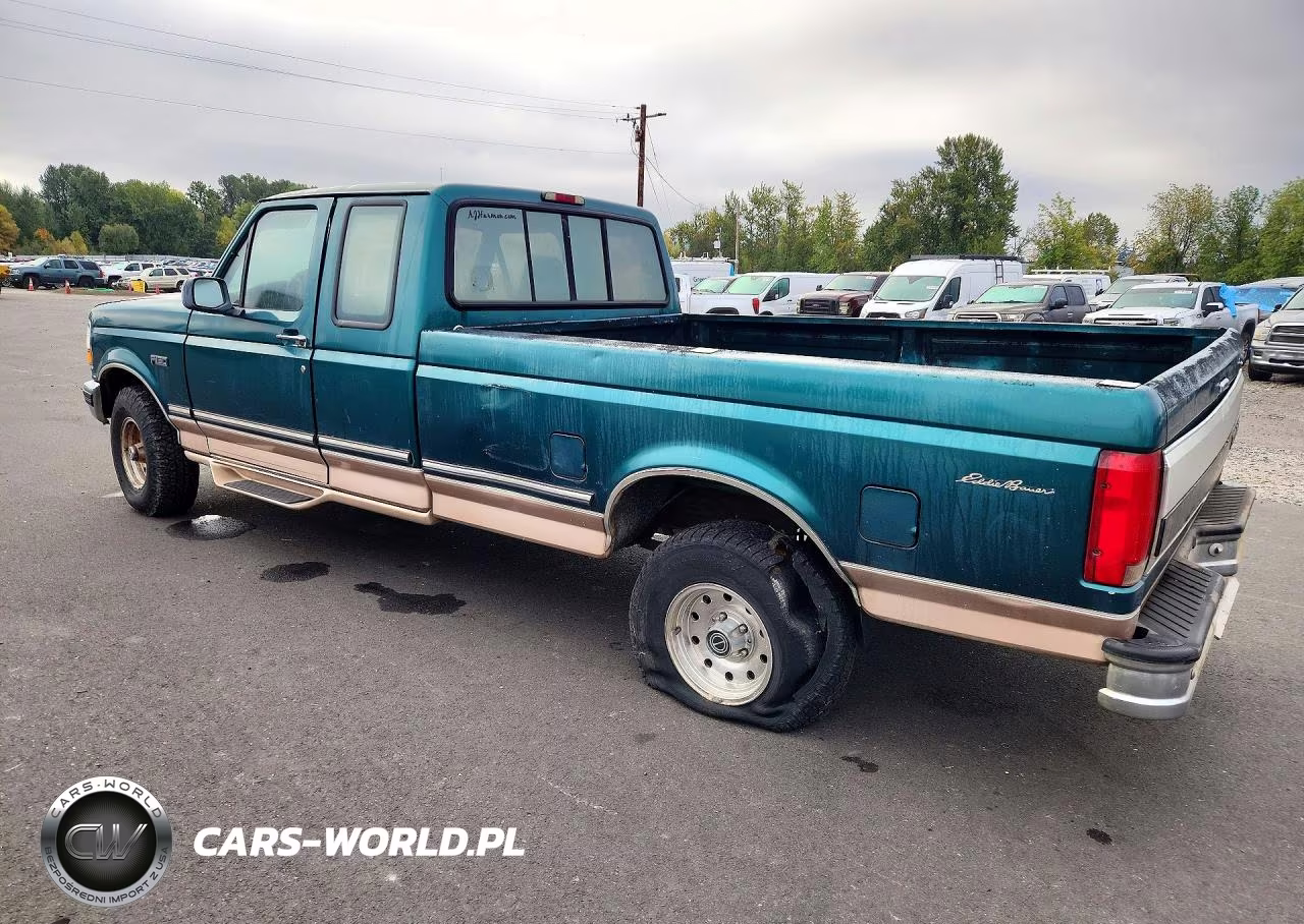 1996 Ford F150 VIN:1FTEX14N9TKA01699 - 2