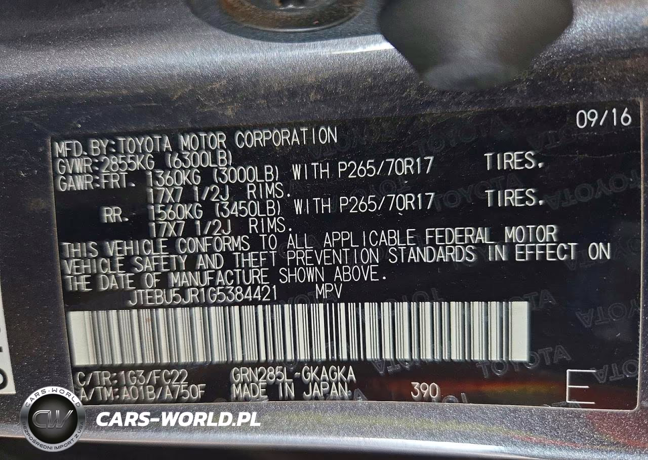 2016 Toyota 4Runner Trail VIN:JTEBU5JR1G5384421 - 12
