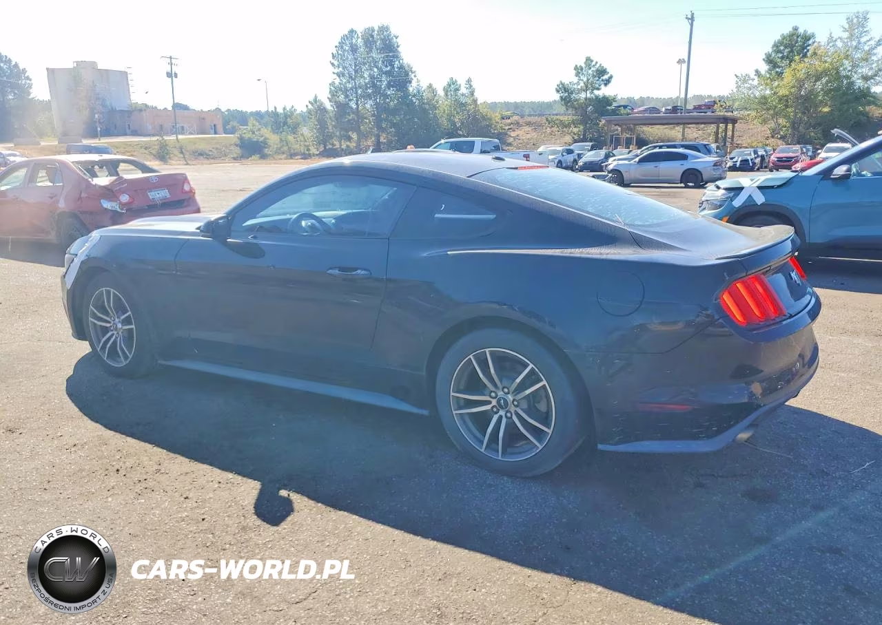 2017 Ford Mustang VIN:1FA6P8TH2H5227412 - 2