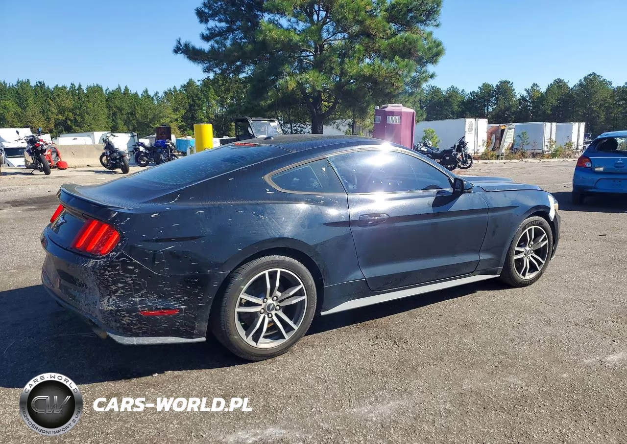 2017 Ford Mustang VIN:1FA6P8TH2H5227412 - 3