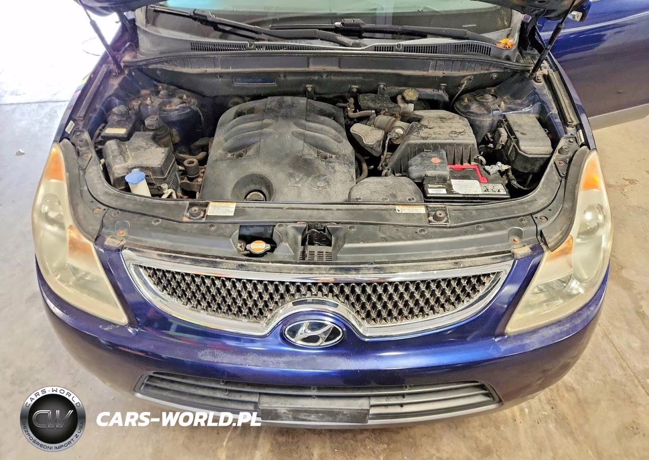 2008 Hyundai Veracruz Gls VIN:KM8NU13C48U031208 - 12