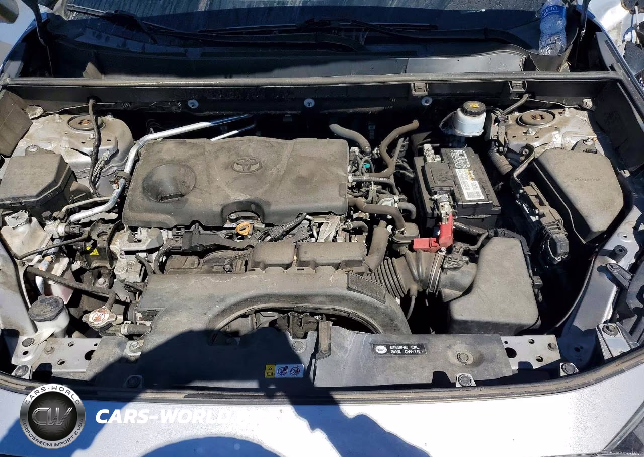 2019 Toyota Rav4 Xle VIN:2T3W1RFV5KW043133 - 12