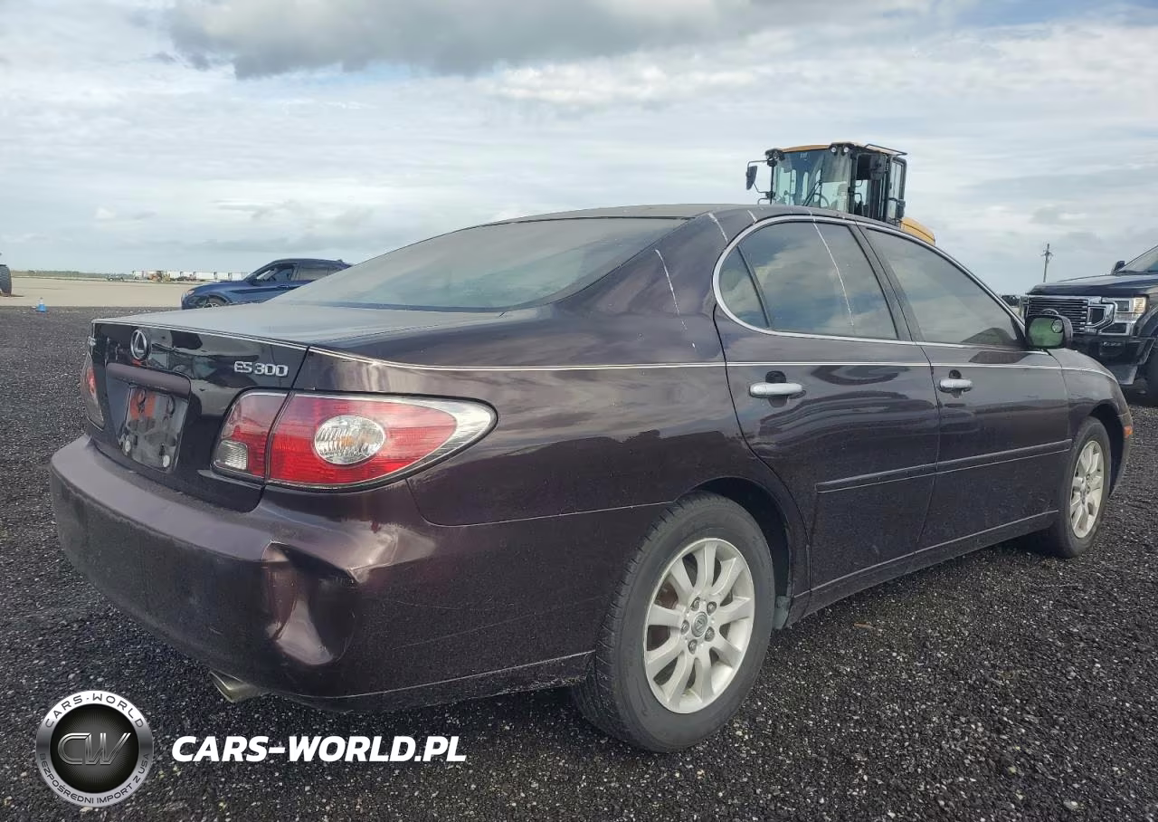 2003 Lexus Es 300 VIN:JTHBF30G136013815 - 3