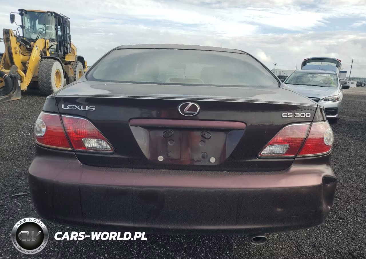 2003 Lexus Es 300 VIN:JTHBF30G136013815 - 6