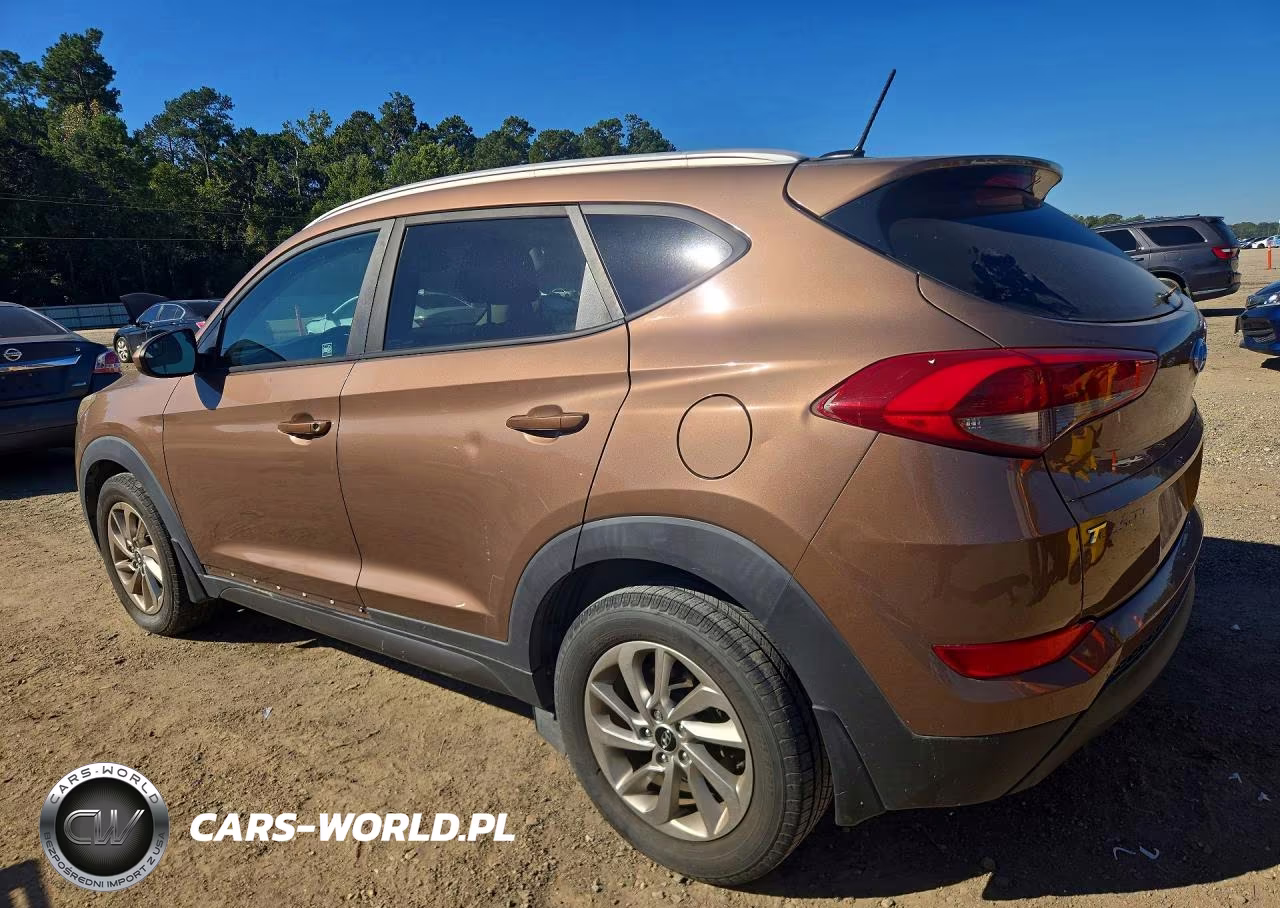 2016 Hyundai Tucson Se VIN:KM8J33A45GU138954 - 2