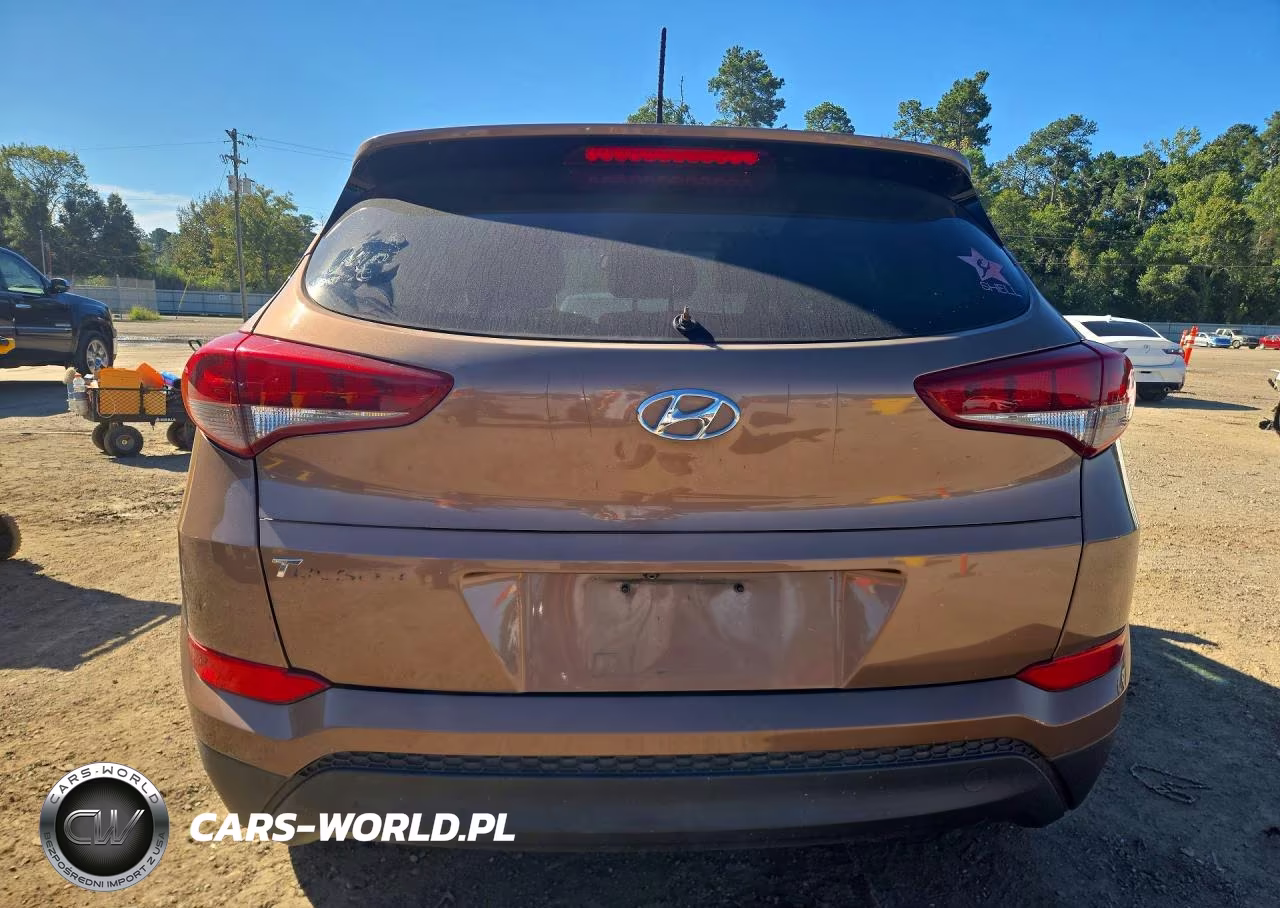 2016 Hyundai Tucson Se VIN:KM8J33A45GU138954 - 6