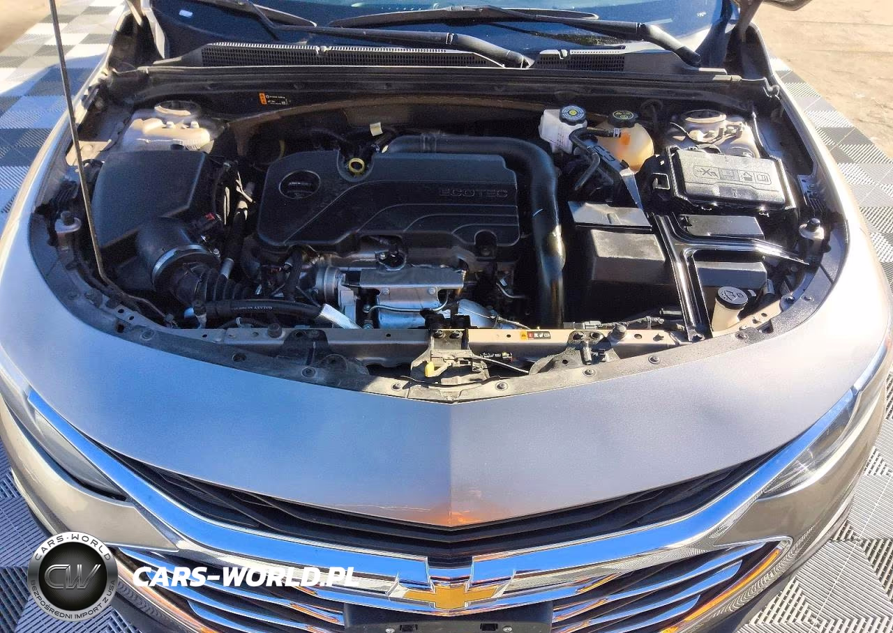2023 Chevrolet Malibu Lt VIN:1G1ZD5ST3PF186066 - 11