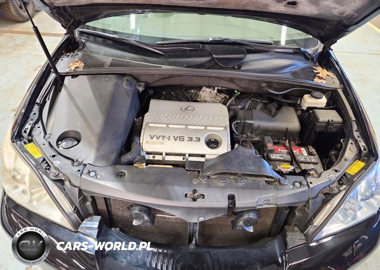 2005 Lexus Rx 330 VIN:2T2HA31U95C048740 - 12