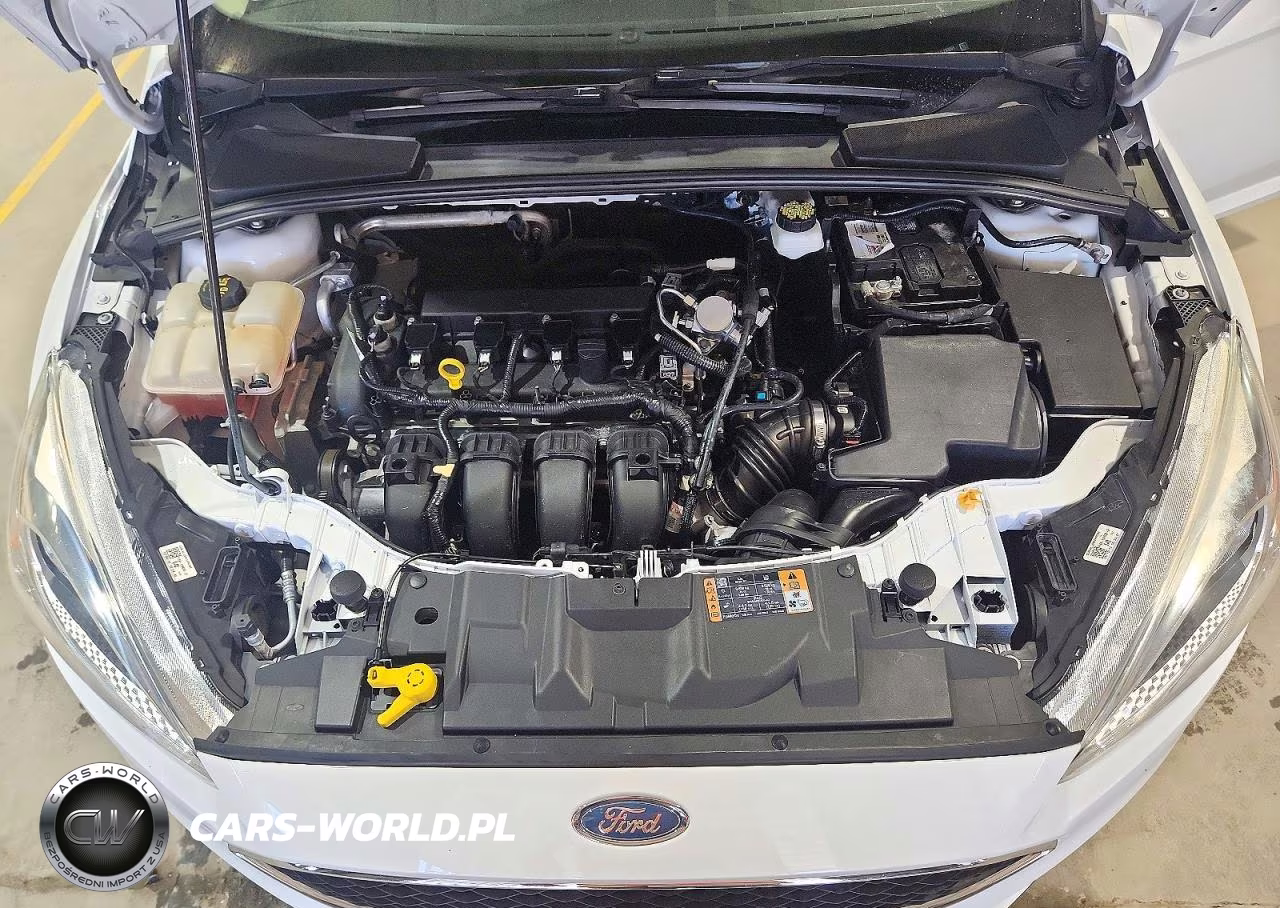 2018 Ford Focus Se VIN:1FADP3F28JL230091 - 11