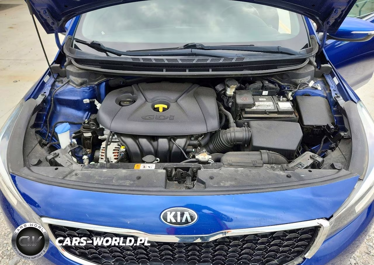 2018 Kia Forte Ex VIN:3KPFN4A81JE165233 - 11