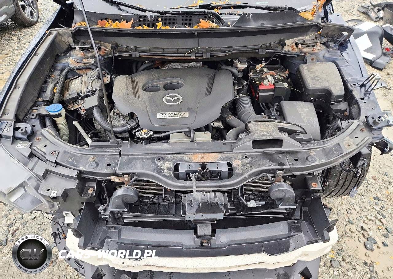 2016 Mazda Cx-9 Touring VIN:JM3TCBCY8G0126951 - 12
