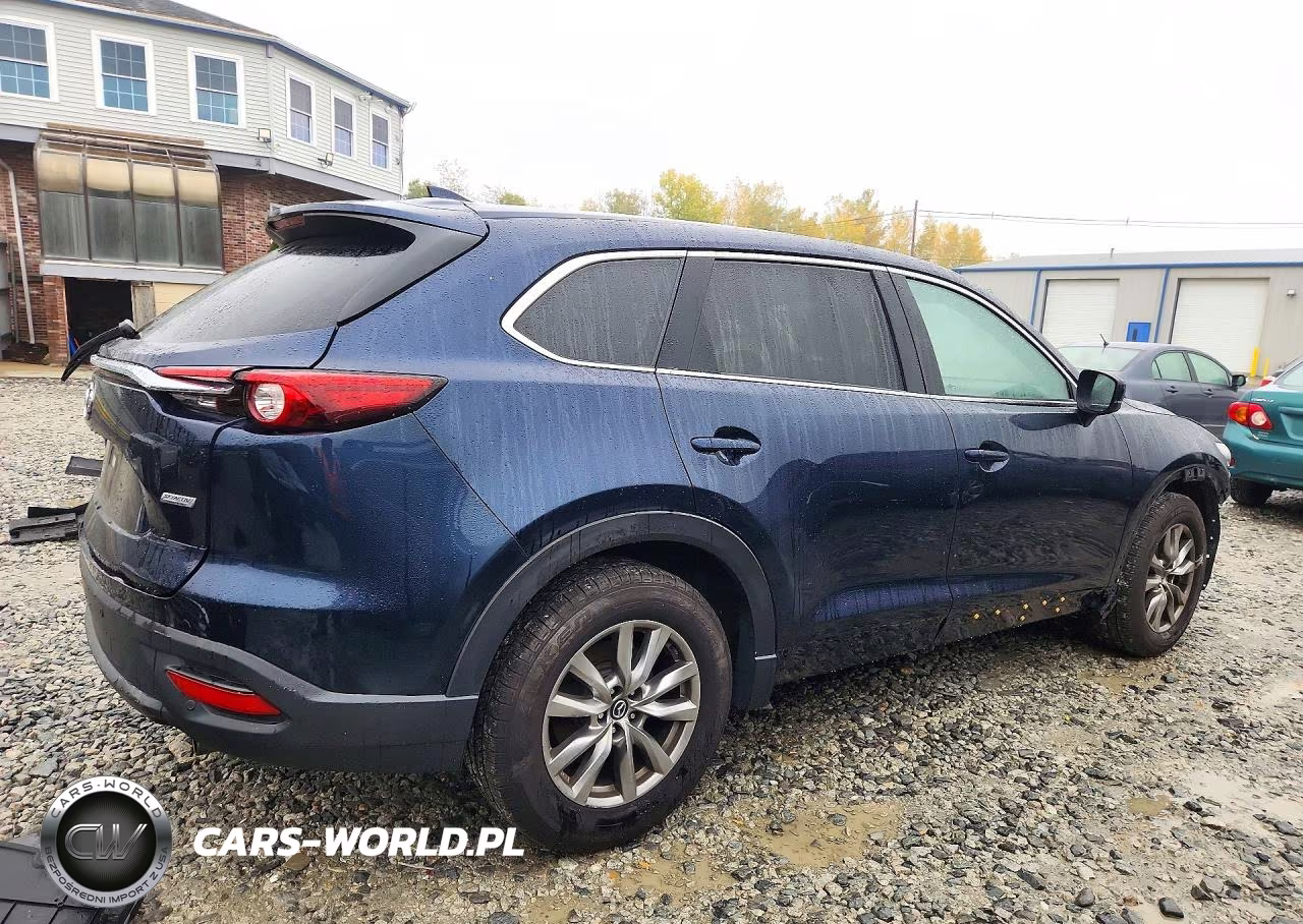 2016 Mazda Cx-9 Touring VIN:JM3TCBCY8G0126951 - 3