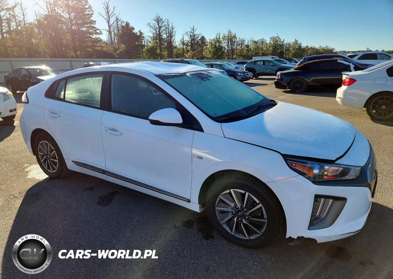 2020 Hyundai Ioniq Se VIN:KMHC75LJ3LU070384 - 4