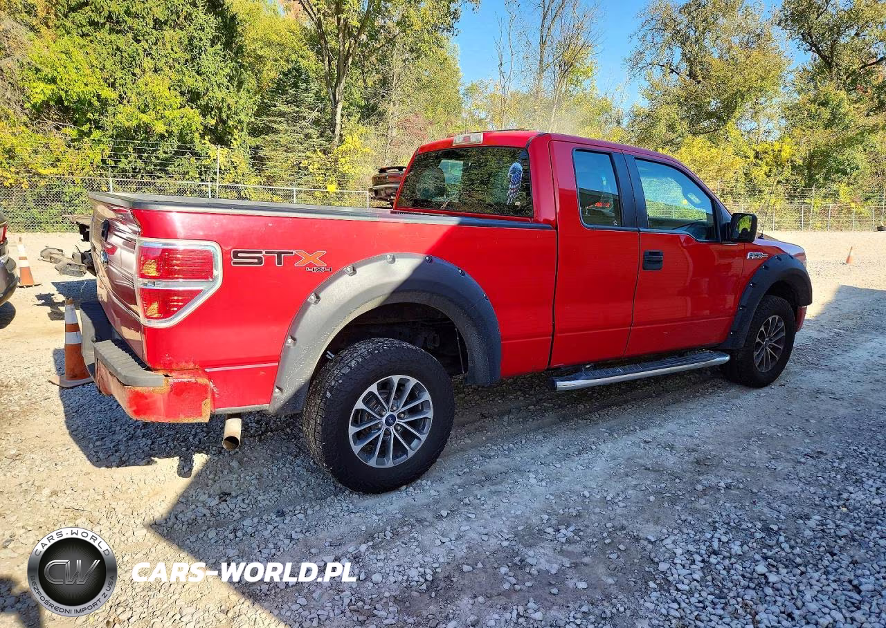 2010 Ford F150 Super Cab VIN:1FTEX1E82AFD65445 - 3