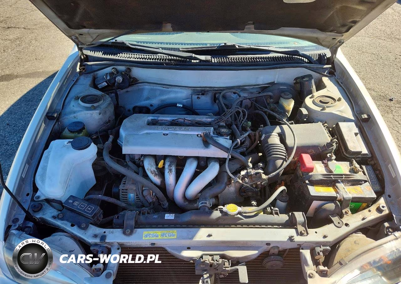 1999 Toyota Corolla Ve VIN:1NXBR12E5XZ247283 - 11