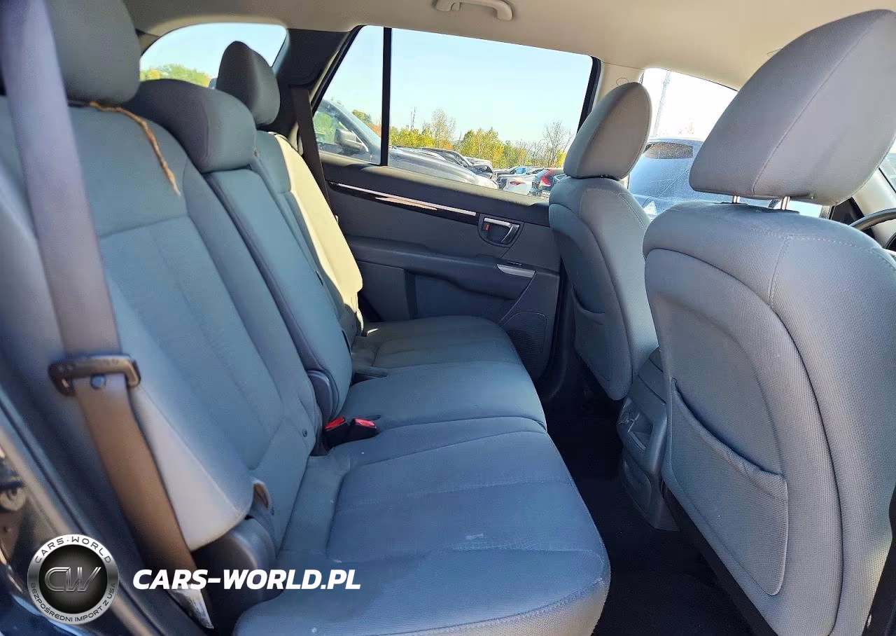 2010 Hyundai Santa Fe Gls VIN:5NMSGDAB3AH368542 - 11