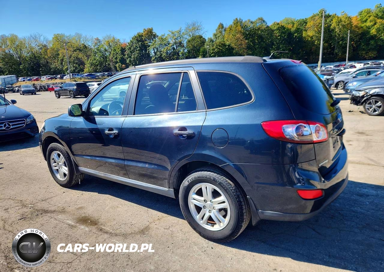 2010 Hyundai Santa Fe Gls VIN:5NMSGDAB3AH368542 - 2