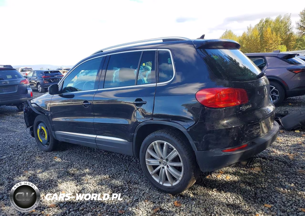 2013 Volkswagen Tiguan S VIN:WVGBV7AX3DW540312 - 2