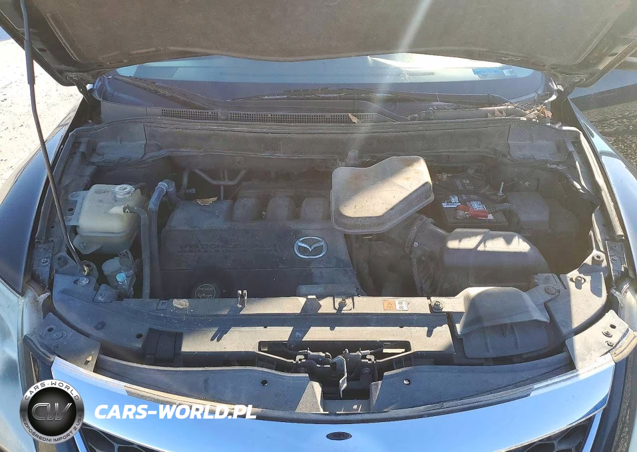 2010 Mazda Cx-9 VIN:JM3TB3MA4A0229530 - 12