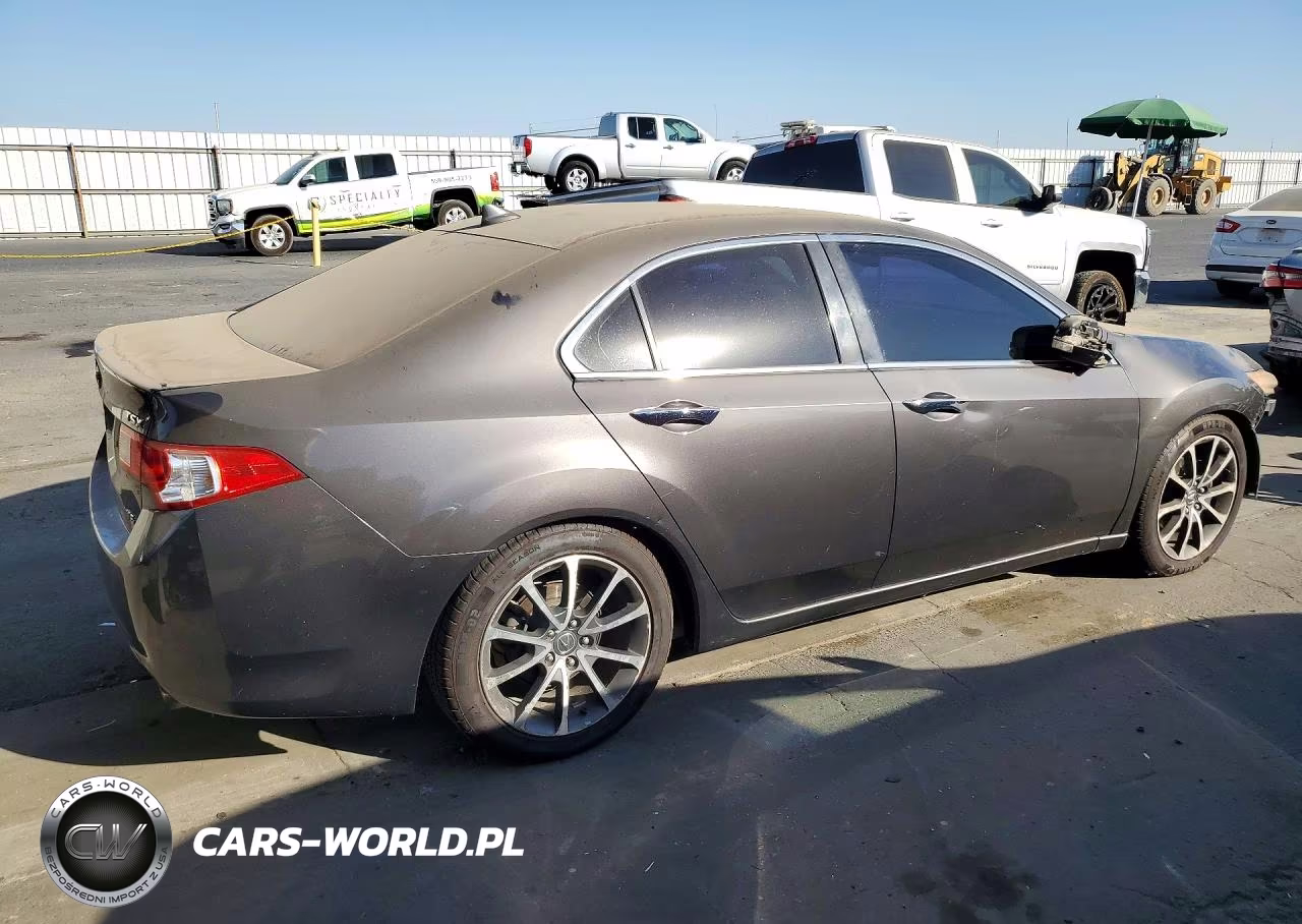 2010 Acura Tsx VIN:JH4CU4F63AC000383 - 3