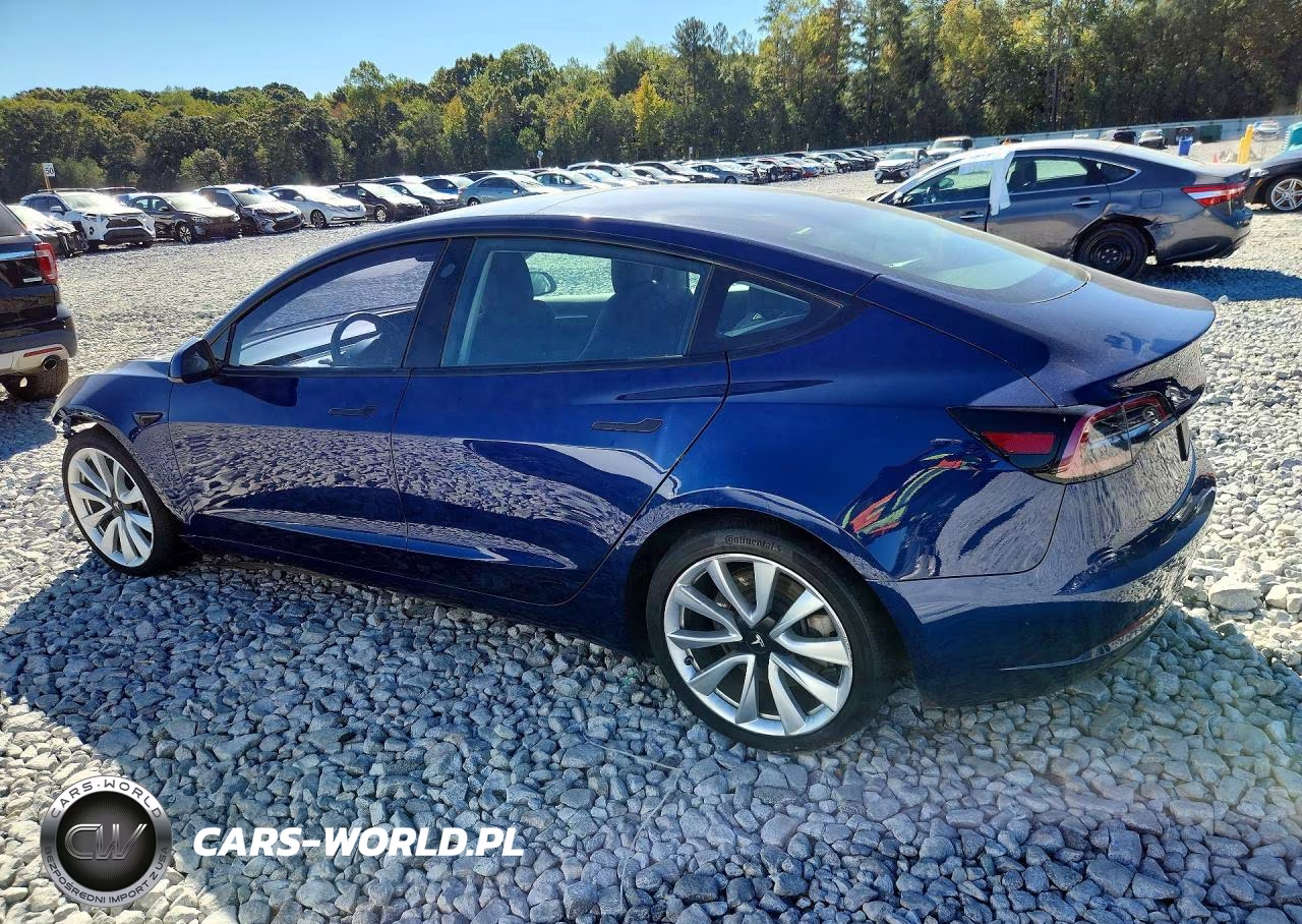 2023 TESLA MODEL 3 REAR-WHEEL DRIVE VIN:5YJ3E1EA7PF436314 - 2