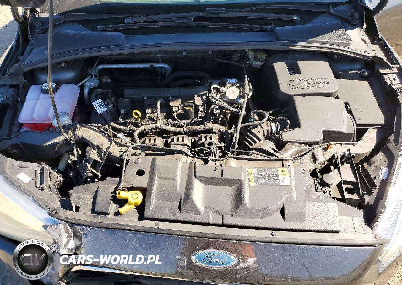 2016 Ford Focus Se VIN:1FADP3K2XGL405603 - 11