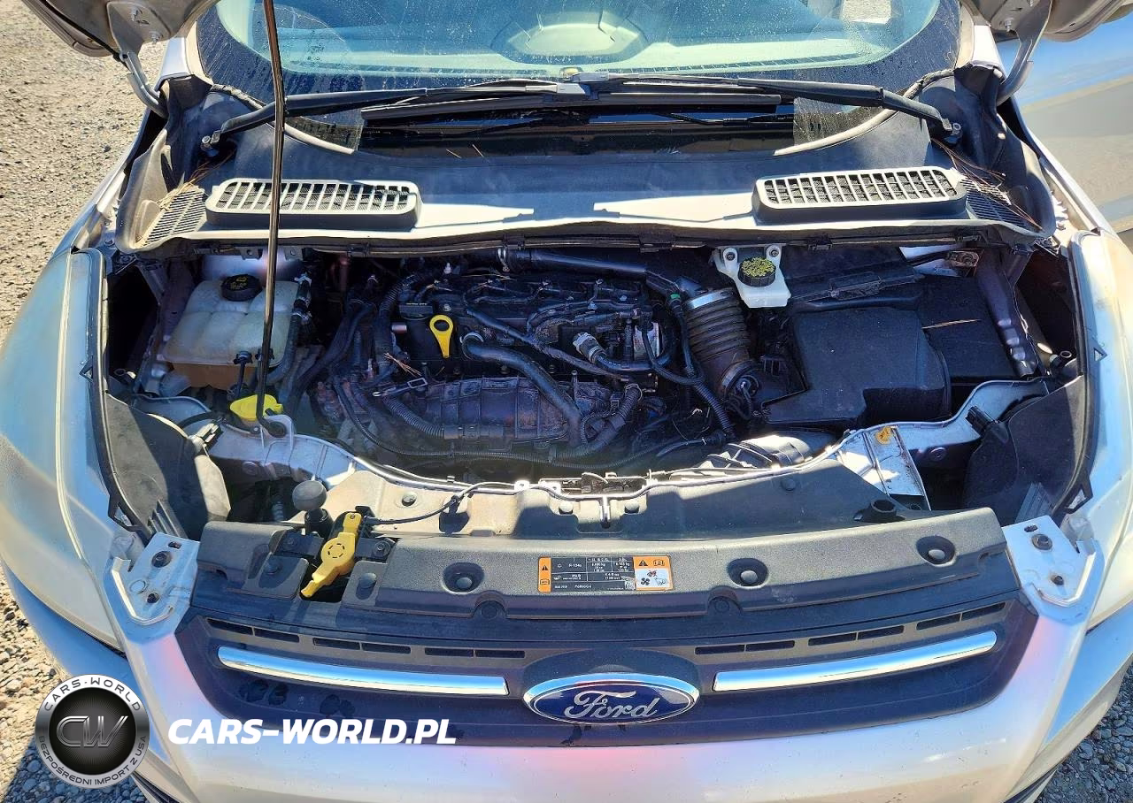 2014 Ford Escape Se VIN:1FMCU0GX2EUC93500 - 12