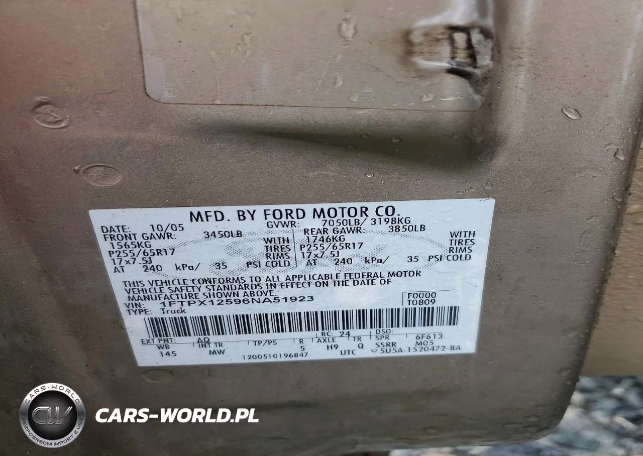 2006 Ford F150 VIN:1FTPX12596NA51923 - 12