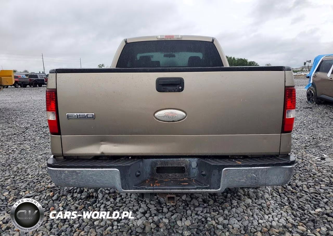 2006 Ford F150 VIN:1FTPX12596NA51923 - 6