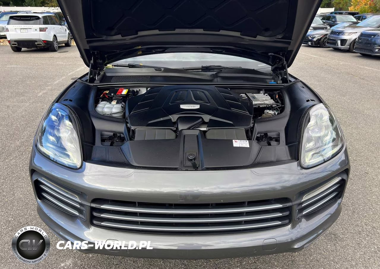 2019 Porsche Cayenne VIN:WP1AA2AY2KDA16955 - 8