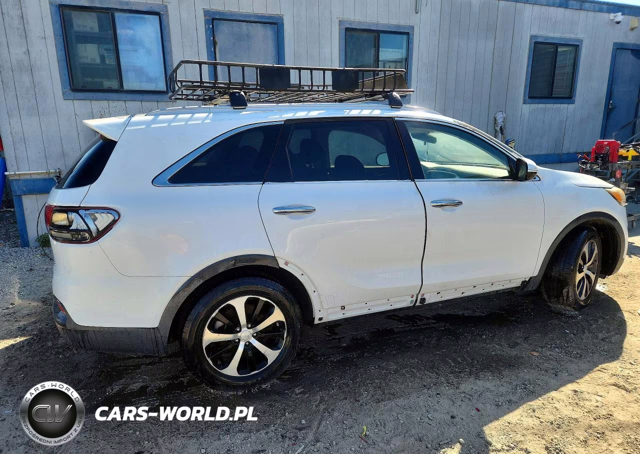 2016 Kia Sorento Ex VIN:5XYPH4A59GG001659 - 3
