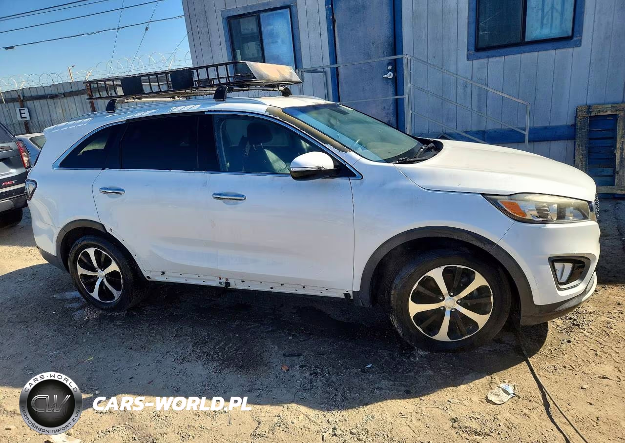 2016 Kia Sorento Ex VIN:5XYPH4A59GG001659 - 4