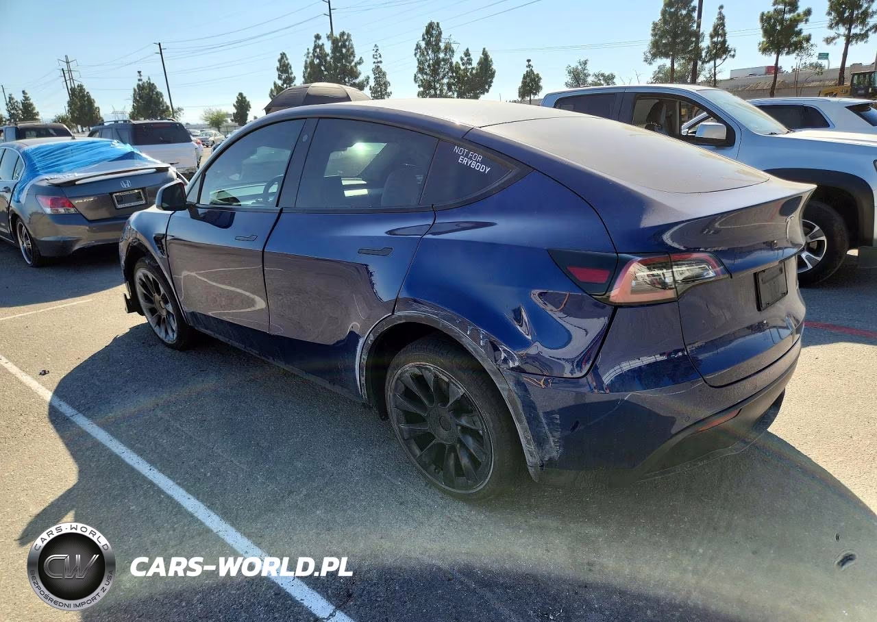 2022 Tesla Model Y VIN:7SAYGDEE2NF439190 - 2