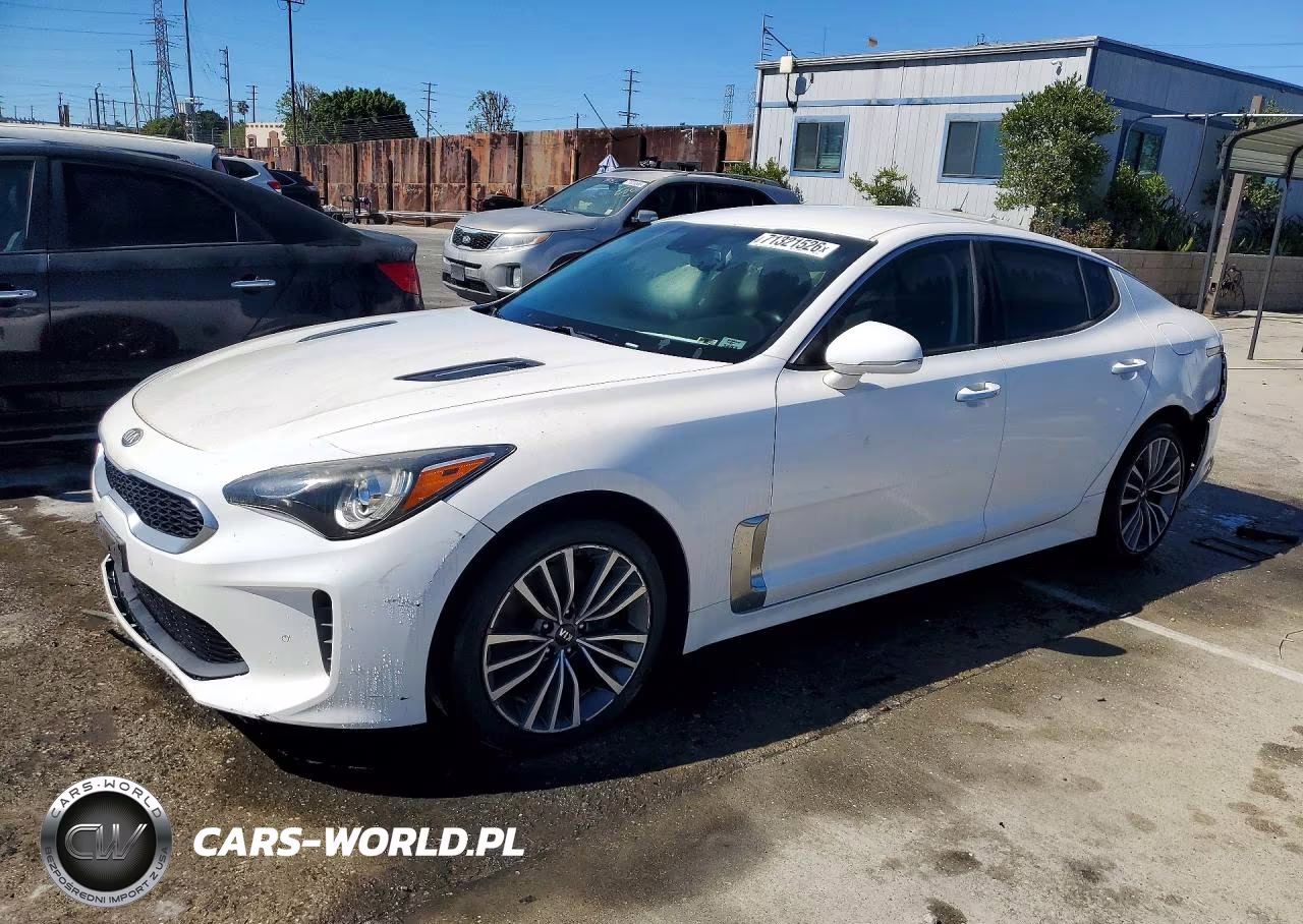 2019 Kia Stinger Base VIN:KNAE15LA2K6051453 - 1